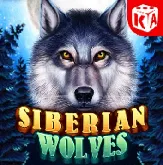 Siberianwolves на нові-казино-україни